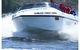 Swan Jet Adventures - thumb 0
