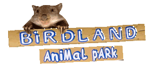 Birdland Animal Park - Accommodation Bookings 0
