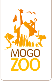 Mogo Zoo - Accommodation Bookings