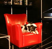Old Fitzroy Theatre - Accommodation Bookings