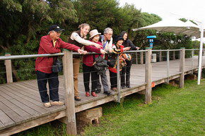 Phillip Island Penguin Parade - Accommodation Bookings 1