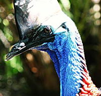 Alma Park Zoo - Accommodation Bookings