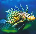 Underwater World - Accommodation Bookings