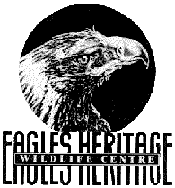 Eagles Heritage - Accommodation Bookings