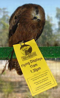 Eagles Heritage - Accommodation Bookings 1