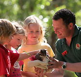 Cleland Wildlife Park - Accommodation Bookings