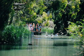 Cleland Wildlife Park - Accommodation Bookings 1