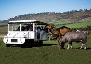 Zoo Doo Wildlife Park - Accommodation Bookings 2