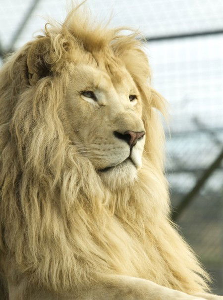Zoo Doo Wildlife Park - Accommodation Bookings 3