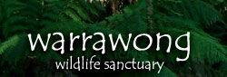Warrawong Wildlife Park - Accommodation Bookings 0