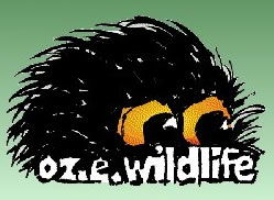  Accommodation Bookings