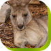  Accommodation Bookings