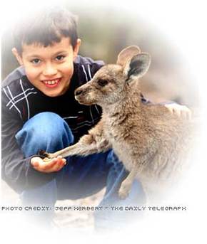 Australia Walkabout Wildlife Park - Accommodation Bookings 1