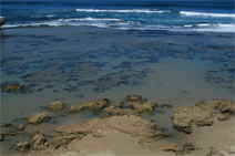 Braddon ACT Accommodation Bookings