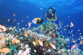  Accommodation Bookings