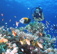 Drop Zone Dive Site