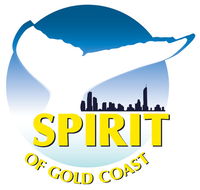 Spirit of Gold Coast Whale Watching - Accommodation Bookings