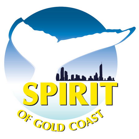 Spirit Of Gold Coast Whale Watching - Accommodation Bookings 0
