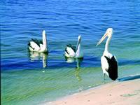 Noosa Everglades Discovery - Accommodation Bookings 2