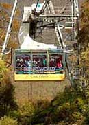 Scenic World Blue Mountains - Accommodation Bookings 1