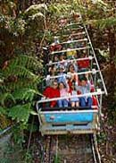 Scenic World Blue Mountains - Accommodation Bookings 2
