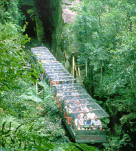 Scenic World Blue Mountains - Accommodation Bookings 3