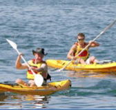 Manly Kayaks - Accommodation Bookings