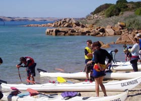 Sea Kayak Melbourne And Victoria - Accommodation Bookings 2