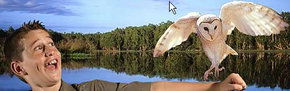 Territory Wildlife Park - Accommodation Bookings 2