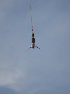 Tower Bungy Jump - Accommodation Bookings 2