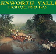 Glenworth Valley Horseriding - Accommodation Bookings
