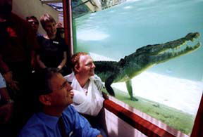 Alice Springs Reptile Centre - Accommodation Bookings 1