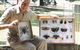 Butterfly Farm - thumb 1