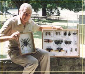 Butterfly Farm - Accommodation Bookings 1
