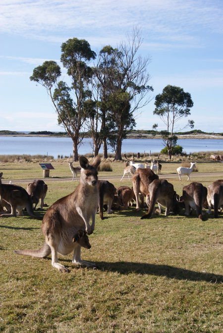 East Coast Natureworld - Accommodation Bookings 1