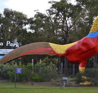 Gumbuya Park - Accommodation Bookings