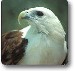 Kakadu National Park - Accommodation Bookings