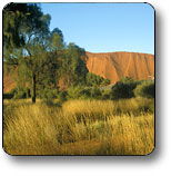  Accommodation Bookings
