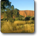 Uluru - Kata Tjuta National Park - Accommodation Bookings