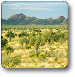 Uluru - Kata Tjuta National Park - Accommodation Bookings 2