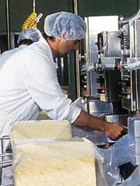 Allansford Cheese World - Accommodation Bookings 1