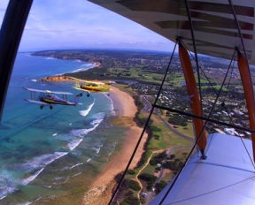 Tiger Moth World Adventure Park - Accommodation Bookings 1