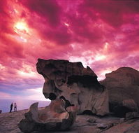 Kangaroo Island Adventure Tour 2 day/1 night - Accommodation Bookings