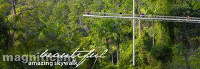 Rainforest Skywalk - Accommodation Bookings 2