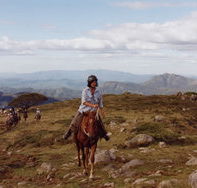 High Country Horses - Accommodation Bookings