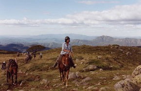 High Country Horses - Accommodation Bookings 0