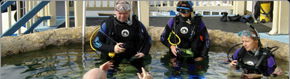 Scuba World - Accommodation Bookings 2