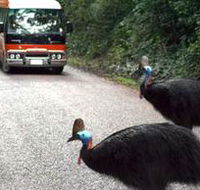 Kookaburra Tours - Accommodation Bookings