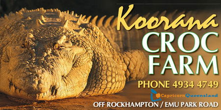  Accommodation Bookings