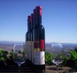 Mount Tamborine Winery  Homestead - Accommodation Bookings